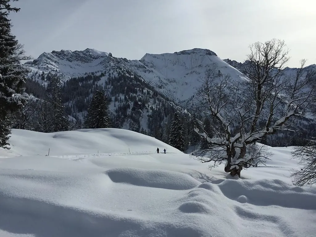 Hotel Hotel-Gasthof Im Wiesengrund Bad Hindelang